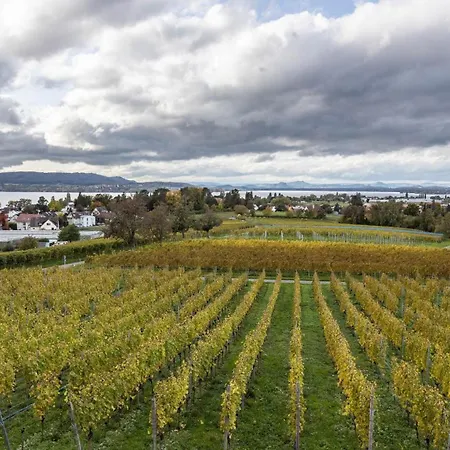 Die Ferienwohnung * Reichenau