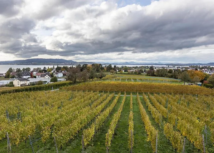 Die Ferienwohnung * Reichenau